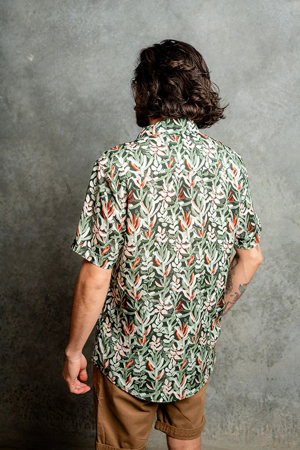 Peggy and Finn - Protea Green SS Shirt